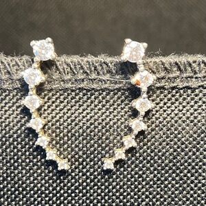 Elegant Silver Earrings